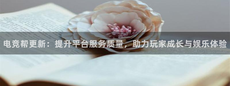 必赢电竞：电竞帮更新：提升平台服务质量，助力玩家成长与娱乐体验