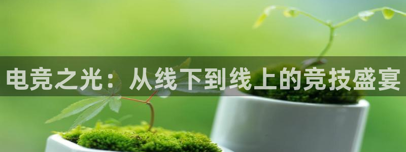 必赢电竞最新比赛：电竞之光：从线下到线上的竞技盛宴