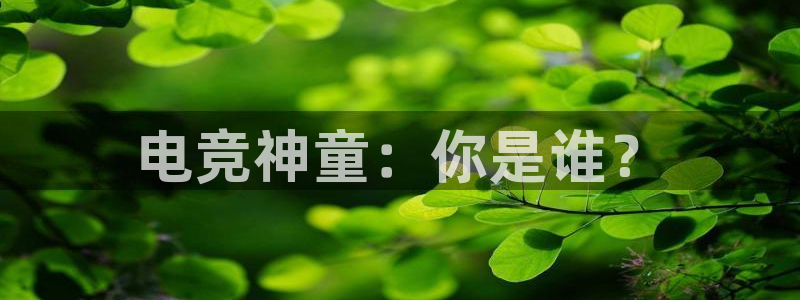 必赢电竞最新比赛：电竞神童：你是谁？