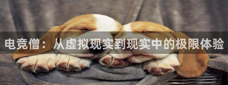 必赢电竞：电竞僧：从虚拟现实到现实中的极限体验