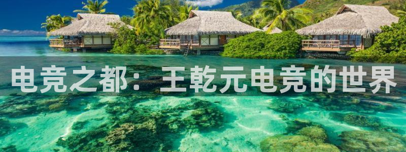 必赢电竞最新比赛：电竞之都：王乾元电竞的世界