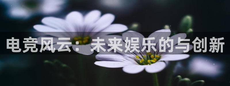 必赢电竞最新比赛：电竞风云：未来娱乐的与创新