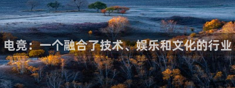 必赢电竞：电竞：一个融合了技术、娱乐和文化的行业