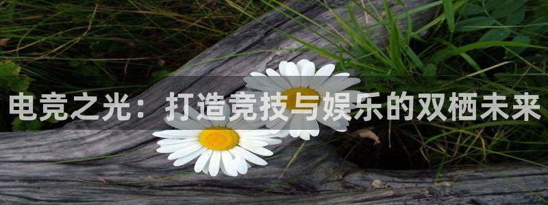 必赢电竞：电竞之光：打造竞技与娱乐的双栖未来