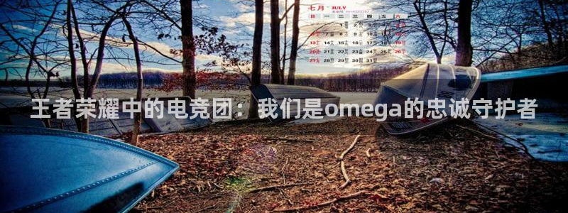 必赢电竞：王者荣耀中的电竞团：我们是omega的忠诚守护者